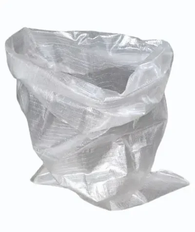 Transparent Bags img 3